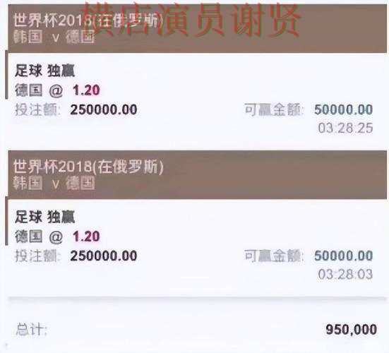 世界杯投注平台合集速度测试怎么选？推荐给你答案（世界杯赛事中心）